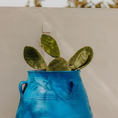 Adelfia Guest house Parikia (Paros)