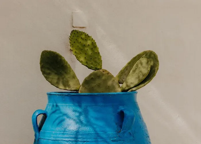 Adelfia Penzion Páros